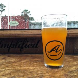 Electrocution IPA