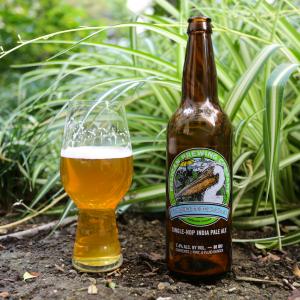 Umbrella Single-Hop IPA