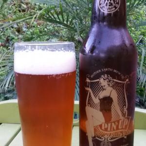 Pin Up Pale Ale
