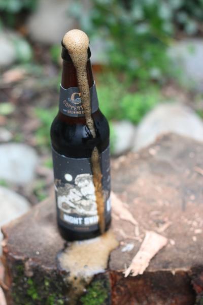 Night Swim Porter from Coppertail Brewing Co. — photo 1 of 6