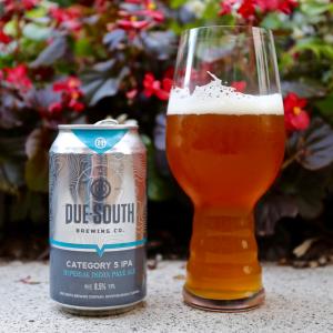 Category 5 IPA