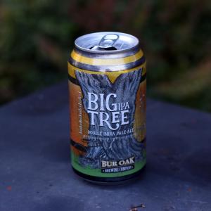 Big Tree IPA