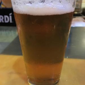 New Belgium Citradelic