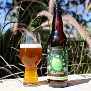 Melrose IPA