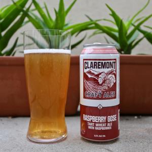 Raspberry Gose