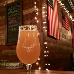 Mojo so Dope IPA