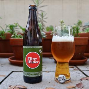 Pliny The Elder