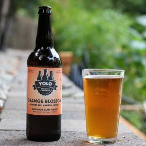 Orange Blossom Blonde Ale