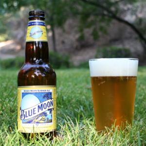 Honey Moon Summer Ale