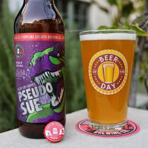 PseudoSue Galaxy Dry Hopped