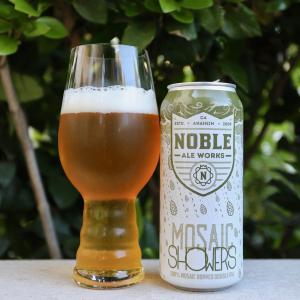 Mosaic Showers