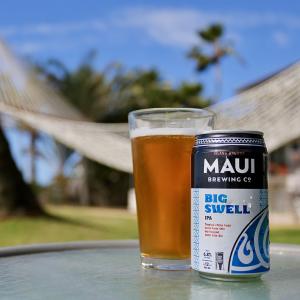 Big Swell IPA
