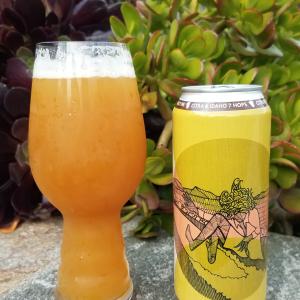 Duck Foot Goofy Regular Hazy IPA