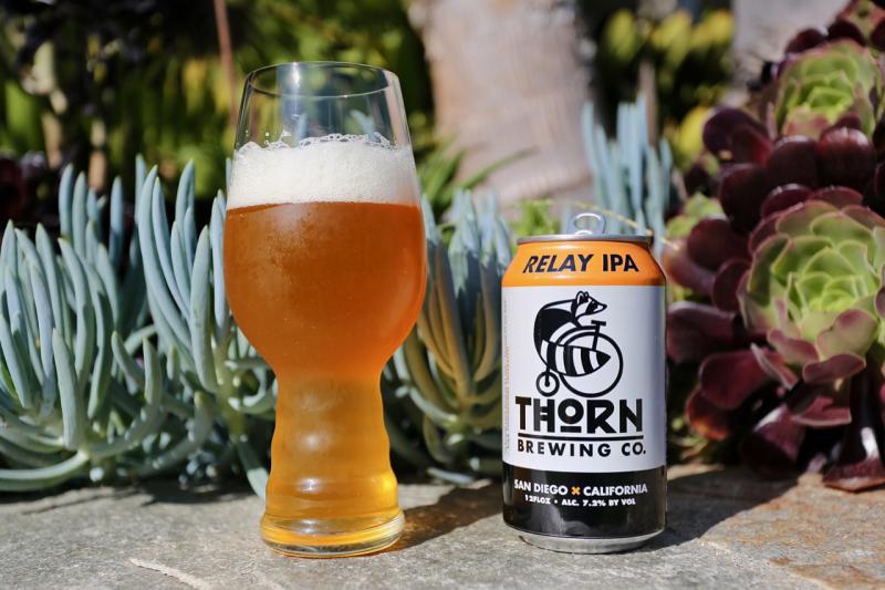 Relay IPA from Thorn Brewing — photo 1 of 1