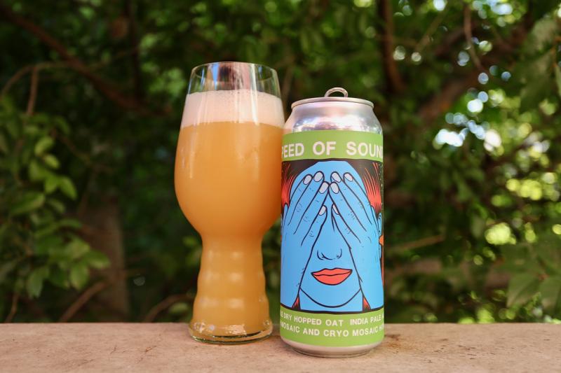 Speed of Sound from Pipeworks Brewing Company — photo 1 of 1