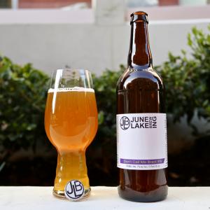 Don't Call Me Brant IPA
