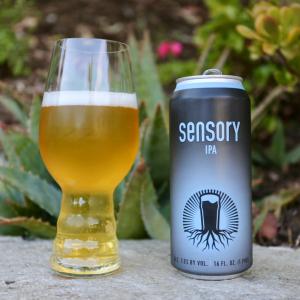 Sensory IPA