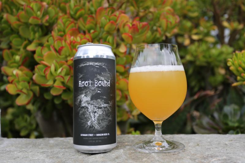 Root Bound from Alvarado Street Brewery — photo 1 of 1