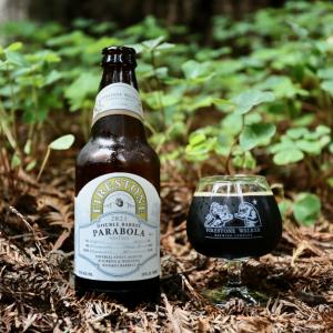 Double Barrel Parabola (2021)