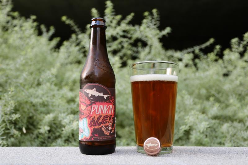 Punkin Ale from Dogfish Head Brewery — photo 1 of 3