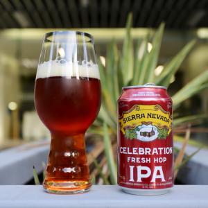 Celebration Fresh Hop IPA (2022)