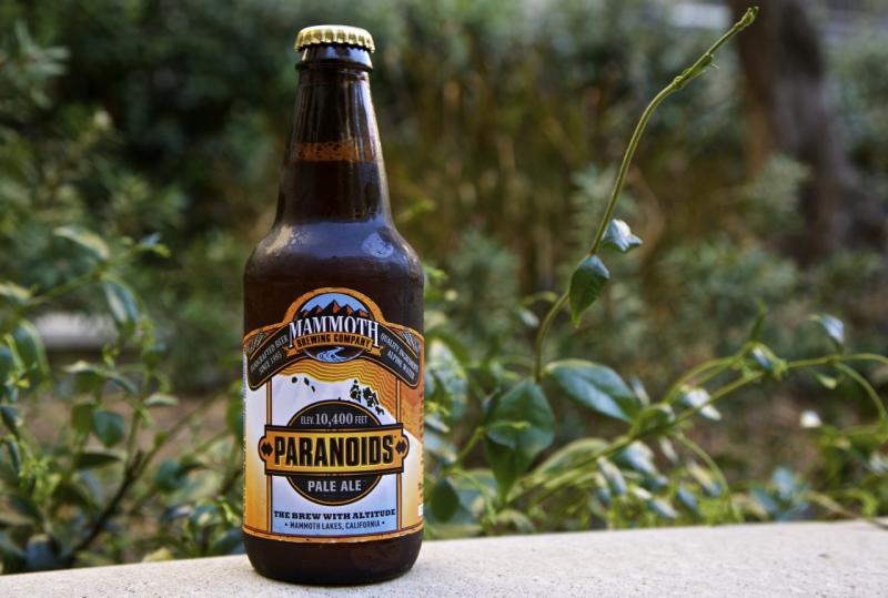 Paranoids Pale Ale from Mammoth Brewing Company — photo 1 of 1