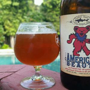 American Beauty